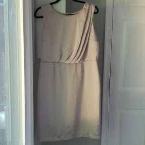 Alfani Champagne Dress 14